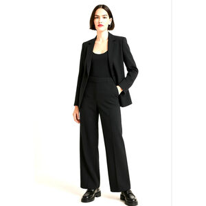 Aritzia Agency Pant